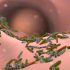 Risk of Covid death almost zero for people who are boosted and treated, White House Covid czar says