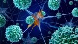 Polio-like syndrome in kids seems not to flare, adding to mystery