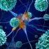 WHO and WMO launch a new knowledge platform for climate and health