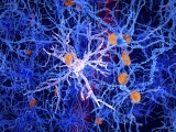 Microglia, Stockholm syndrome and miraculous cures in glioblastoma patients