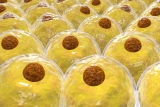 Circadian Clocks Play A Key Role In Fat Cell Growth
