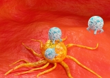 The immune system’s double agents