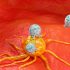 Error: CDC removes holiday guidance list, says update coming
