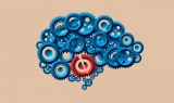 Meal Time May Help Protect Against Cognitive Decline