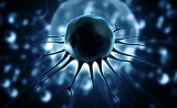 How Diet Affects Tumors | Worldhealth.net Anti-Aging News