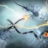Lane County reports 884 new coronavirus cases in week