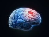 Engineers light the way to nerve-operated prosthetics of the future