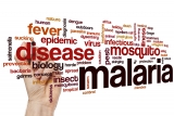 Monoclonal Antibody Prevents Malaria In Early Trial
