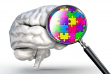 Scientists Discover Anti-Inflammatory Molecules That Decline In The Aging Brain