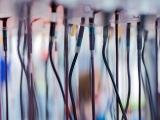 Targeting key protein in blood may slow progression