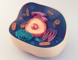 HIV patients with moderate immune suppression at greater risk of severe COVID-19 “breakthrough” infection