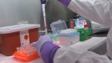 Oahu and Maui County join Kauai in the ‘red’ with high COVID transmission levels