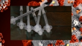 FDA, CDC approve booster shots for immunocompromised | KLBK | KAMC