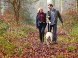 World Mental Health Day: how we can develop healthy habits that can help us cope on a daily basis