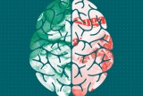 Best Nootropics (2023 Update) Top Nootropic Supplements to Boost Brain Health