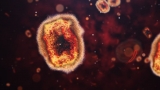 Monkeypox may present with unusual symptoms, CDC warns