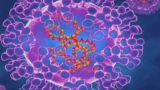 Watch CBS Evening News: CDC sees downward trend in monkeypox cases