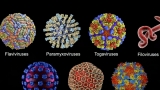 Watch CBS Evening News: Inside CDC efforts to track new COVID variants