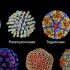 Moderna plots vaccines against 15 pathogens with future pandemic potential, Health News, ET HealthWorld