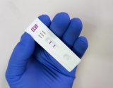 Discovery of antibody structure could lead to treatment for Crimean Congo Hemorrhagic Fever virus