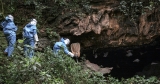 Could the Marburg Virus Start Another Outbreak? What We Know