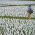 Specific Environmental Factors Tied to Mortality Risk – Consumer Health News
