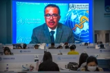 Analysis | How Chinese pressure on coronavirus origins probe shocked the WHO — and led its director to push back – The Washington Post