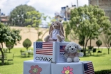 USAID Rolls Out U.S. Government-Facilitated Pediatric COVID-19 Vaccines Worldwide | Press Release