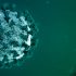 Doctors concerned kids missed routine vaccinations during pandemic