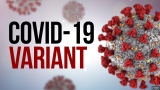‘Scrabble variants’ now cause the majority of new COVID-19 infections in the US