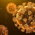CDC: Fatal overdoses drop in W.Va. | News – Huntington Herald Dispatch
