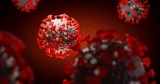 Northwestern Investigates COVID-19: Omicron, Vaccines, Pediatric Complications