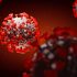 CDC lists more Florida counties at high risk for COVID transmission