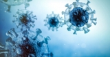 CDC warns of rising COVID risk in Iowa | News, Sports, Jobs