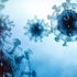 Ukraine war, pandemic to top agenda of World Health Assembly | News | DW