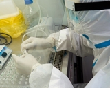 Q&A: COVID-19 variants and what they mean for countries and individuals