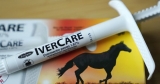 Ivermectin doesn’t treat COVID or keep people out of hospital, study finds – National