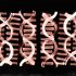 COVID Variant XBB 1.5 Fuels NYC Cases; COVID Testing Urged – NBC New York