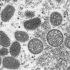 Updated WHO recommendations for malaria chemoprevention and elimination