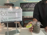 Medical marijuana, CBD, Delta-8: What’s the difference?