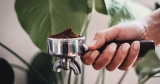 The many uses for coffee grounds