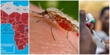 World Health Organization launches new initiative to stop the spread of invasive malaria vector in Africa – Today News Africa