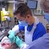 Syphilis cases on the rise in the state