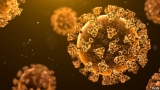 COVID-19 increases risk of psychiatric diagnoses in the months after infection, OSU study finds