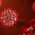Africa CDC says it has signed MOU with Pfizer for COVID pill