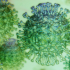 CDC: COVID level in county stands at ‘Medium’