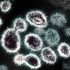 ‘Two Americas’ may emerge as Delta variant spreads and vaccination rates drop | US news