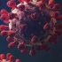 WHO Alert on Indian Cough Syrups Blamed for Uzbek Deaths