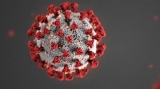 2 Omicron sub-variants responsible for rise in COVID-19 cases in 110 countries, says WHO