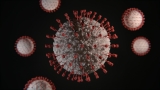 November 26, 2022 coronavirus update for Oakville
